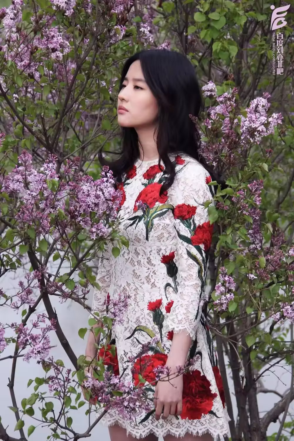 [时装l’officiel]拍摄花絮图  《刘亦菲》[2016.2.12]
