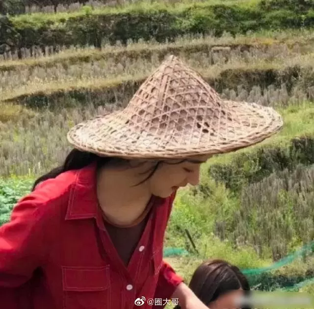 85花最新路透刘亦菲,杨幂开心吃毛豆,刘亦菲换成细眉跟景甜有点像哎