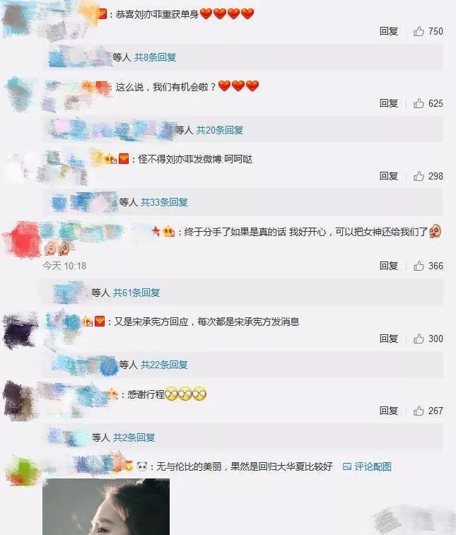 刘亦菲和宋承宪分手却把粉丝高兴坏了,难怪刘亦菲之前说呵呵哒