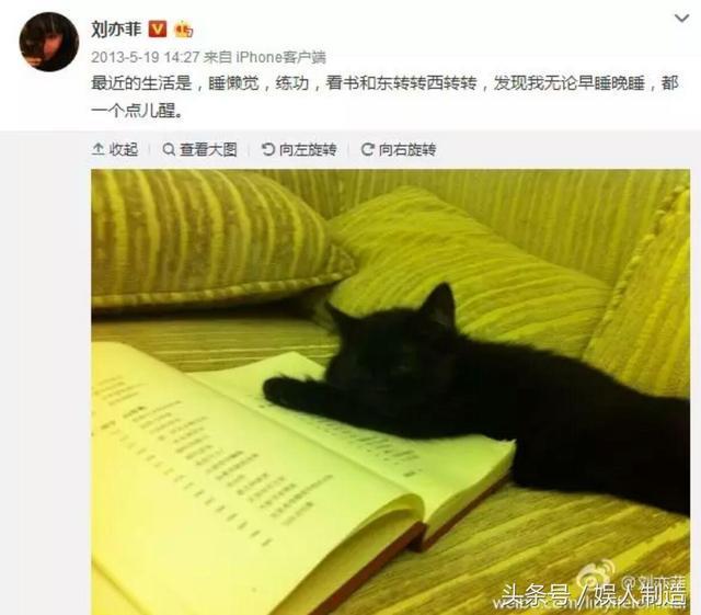 刘亦菲胖了,求求老天也让我胖成这样!
