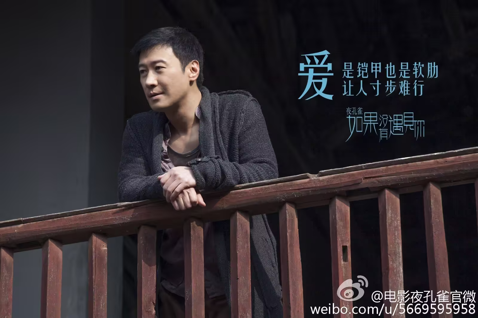 夜孔雀：电影海报剧照图集汇总
