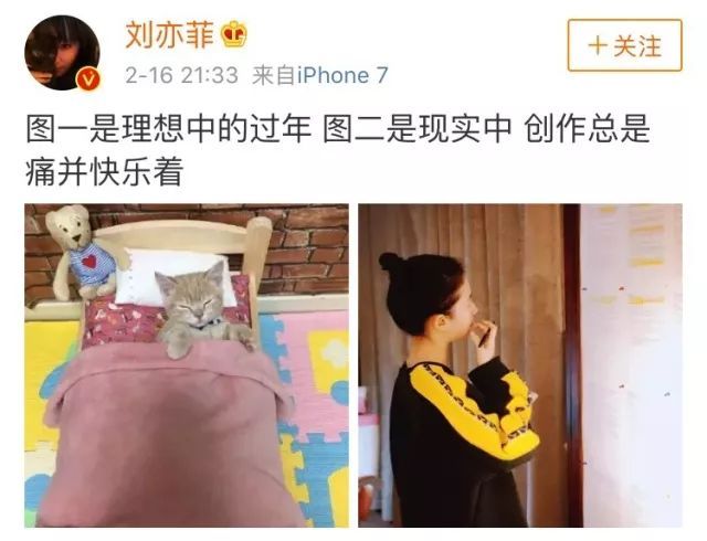 扯白||为什么别人能胖,就是刘亦菲不能胖?