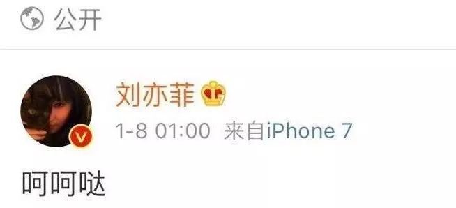 刘亦菲和宋承宪分手却把粉丝高兴坏了,难怪刘亦菲之前说呵呵哒