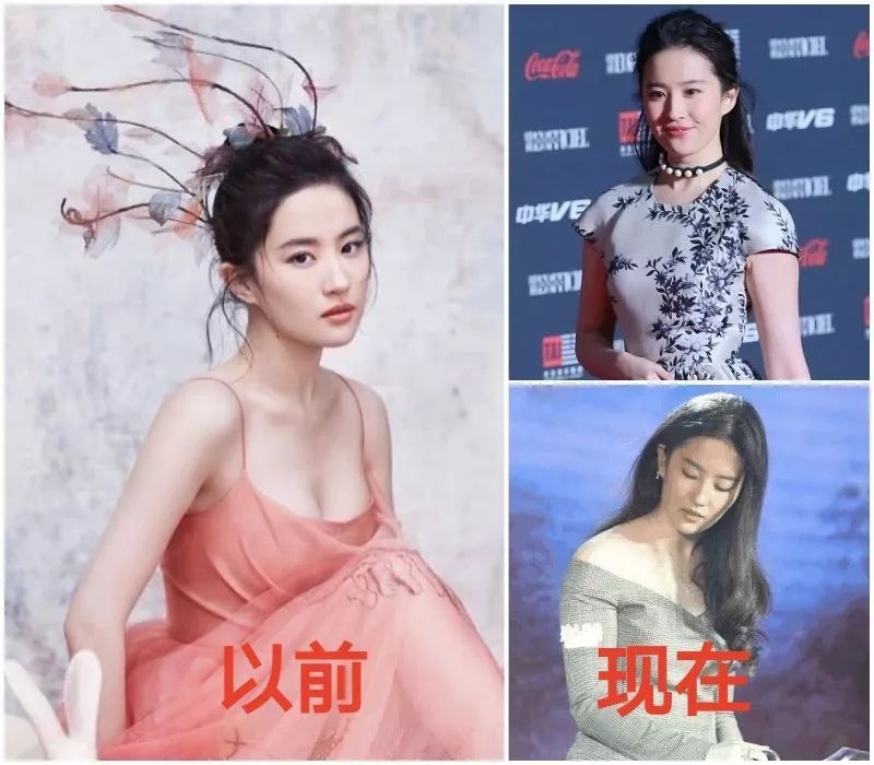 扯白||为什么别人能胖,就是刘亦菲不能胖?