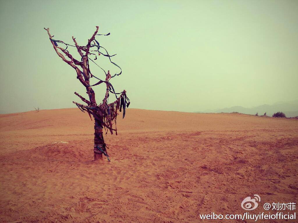 2014年茜茜微博图片（节选）。整理：LiuYifeiThaiFans